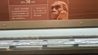 大庆市博物馆第四纪
