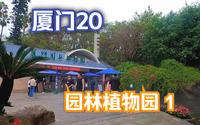 厦门之旅第20集 园林植物园1# 不加滤镜的大自然 # 厦门植物园 # 这是属于厦门的浪漫 # 厦门旅行vlog # 热带雨林