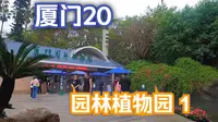 厦门之旅第20集 园林植物园1# 不加滤镜的大自然 # 厦门植物园 # 这是属于厦门的浪漫 # 厦门旅行vlog # 热带雨林