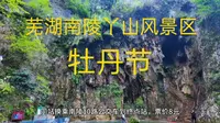 芜湖市南陵县丫山风景区牡丹节，门票交通攻略，看完你还会去吗.