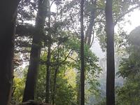 补档记录青城山一日游