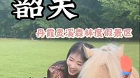 韶关 | 丹霞灵溪森林景区 马厩探店