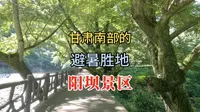 甘肃南部最出名的景区之一，海拔1200米的避暑胜地——阳坝风景区