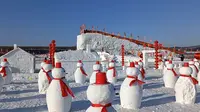 冬天的鹤岗市鹤立湖