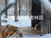 横道河子虎林园