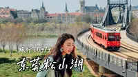 旅行vlog79|东莞松山湖美爆了！赏花&骑行一日游！