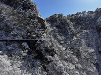 2025-01-27 冬日绝美九华山花台景区，索道上下登顶全程不走回头路，沿途踩着雪路看遍雾凇