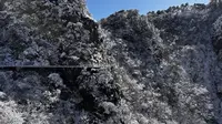 2025-01-27 冬日绝美九华山花台景区，索道上下登顶全程不走回头路，沿途踩着雪路看遍雾凇