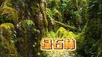 闯入攀枝花绿石林