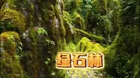 闯入攀枝花绿石林