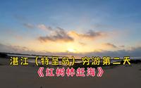 湛江《特呈岛》穷游第二天，红树林赶海