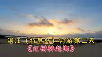 湛江《特呈岛》穷游第二天，红树林赶海