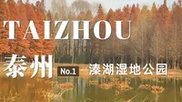 泰州旅行日记| 溱湖国家湿地公园游览体验 旅拍vlog 泰州旅行攻略