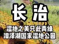 长治 citywalk第三站 漳泽湖国家湿地公园