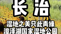 长治 citywalk第三站 漳泽湖国家湿地公园