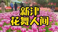 新津花舞人间 赏花好去处