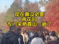 南京栖霞山，不要再花80专门过来一趟了