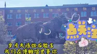 猛犸象化石发现地绥化市青冈县。青冈县第四纪古生物化石博物馆