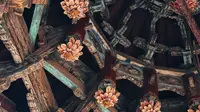 化觉巷清真大寺｜寻觅凤凰亭绝美莲花藻井