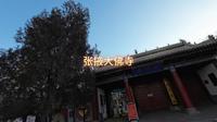 张掖大佛寺