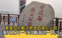 秦皇岛北戴河老虎石海上公园，海风太大，可以看海鸥，就是太冷了