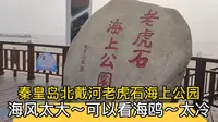 秦皇岛北戴河老虎石海上公园，海风太大，可以看海鸥，就是太冷了
