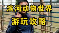 聊城滨河动物园游玩攻略