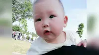 云梦方舟一日游