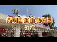 昆明圆通山动物园（下）