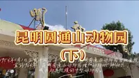 昆明圆通山动物园（下）
