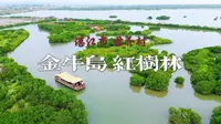 一键解锁：湛江世乔村金牛岛红树林