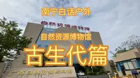 广西自然资源博物馆   古生代篇  南宁白话户外