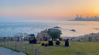 青岛的『小麦岛〗也太治愈了吧！