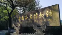 中国茶叶博物馆最新宣传片发布 欢迎大家来茶博游览