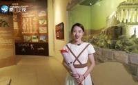 闽南通|馆里那些事：厦门奥林匹克博物馆