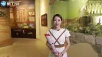 闽南通|馆里那些事：厦门奥林匹克博物馆