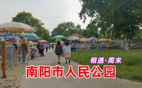 听说南阳市人民公园车水马龙？动物园要搬迁？是真的吗！周末闲游