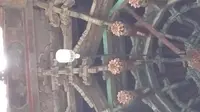西安化觉巷清真大寺 （时间：周五主麻刚散）