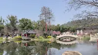 漫步武汉·东湖樱花园