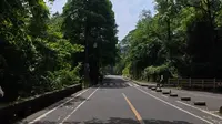 成都青城山前山景区至停车场全纪录