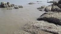 普陀山（南天门）海滩