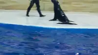 南京海底世界(上)