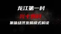 “龙江第一村”兴十四村集体经济发展模式解读