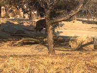 长春市动植物园