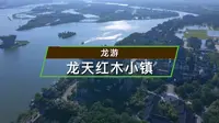 105.龙游龙天红木小镇，别具一格的景区