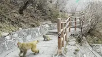 神农山龙脊长城 小西天穿越景区一日游