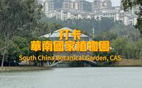 和植物圈大佬一起打卡华南植物园