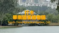 和植物圈大佬一起打卡华南植物园