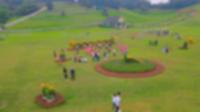 国庆来北川飞鸿滑草场滑草赏花吧
