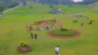 国庆来北川飞鸿滑草场滑草赏花吧